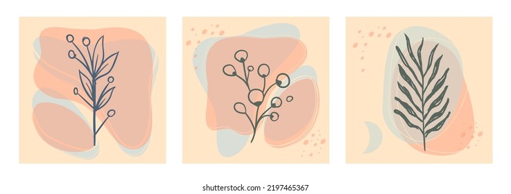 Aesthetic nature plant background  with abstract organic shapes in pastel color palette.