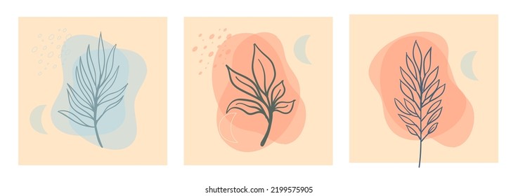 Aesthetic nature plant background  with abstract organic shapes in pastel color palette.