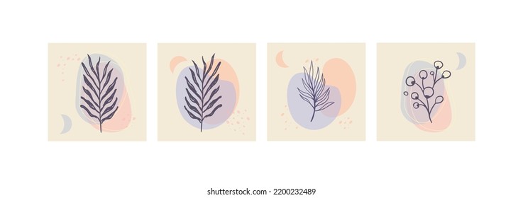 Aesthetic nature plant background  with abstract organic shapes in pastel color palette.