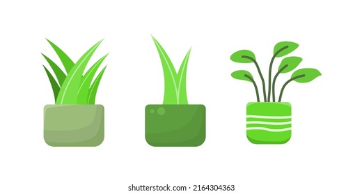 Ästhetische Vektorgrafik von Zierbaum und Topf.