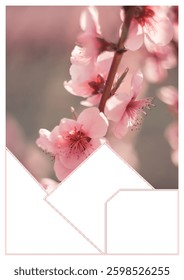 Aesthetic photo collage template with soft pink blossoms in the background. Frames with a neutral tone, artwork for memories and adding a touch of creativity to any project, for advertisement