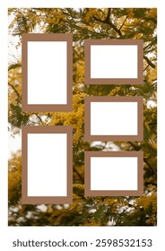 Aesthetic photo collage template with spring flowers mimosa on a background. Frames with a neutral tone, artwork for memories and any project, for advertisement, album