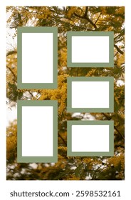 Aesthetic photo collage template with spring flowers mimosa on a background. Frames with a neutral tone, artwork for memories and any project, for advertisement, album