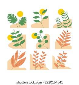 Aesthetic Plant Corner For Template Background