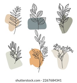 Aesthetic plant elements, leaves and branches. Template vector