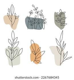 Elementos estéticos vegetales, hojas y ramas. vector de plantilla