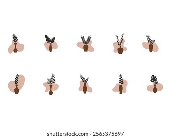 Aesthetic Plant Illustration Element Set