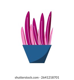 aesthetic plant in the pot for home decor