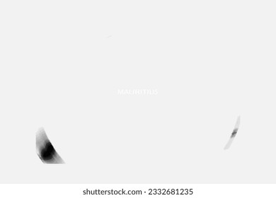 Aesthetic Retro Monochrome Gradient Mesh of Mauritius Map in Black and White Color.