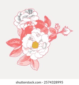 Aesthetic rose flower sticker. White floral plant vector illustration. Vintage white botanical flower art drawing illustration, old painting art print of white flower vector.