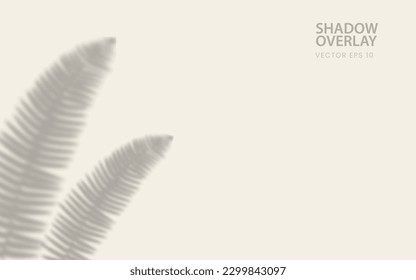 Aesthetic Silhouette Shadow Background of Tree Branch Natural Saber Fern Leaves Falling on Soft Peach Colored Wall. Transparent Blurred Shadow of Morning Sunlight.