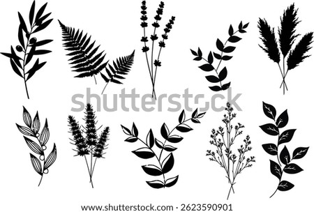 Aesthetic silhouette vector illustration of elegant botanical plants with long stems, including olive branches, lavender stalks, eucalyptus, fern fronds, palm leaves, pampas grass.