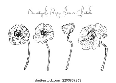 Colección de esbozo de flor de primavera estética