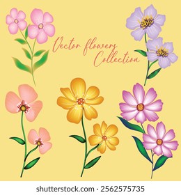 Aesthetic vector flowers design collection 