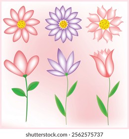 Aesthetic vector flowers design collection 