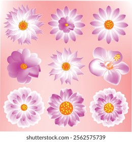 Aesthetic vector flowers design collection 