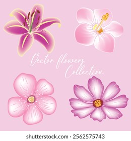 Aesthetic vector flowers design collection 