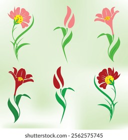 Aesthetic vector flowers design collection 