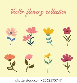 Aesthetic vector flowers design collection 