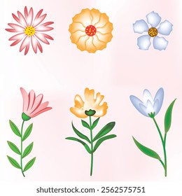 Aesthetic vector flowers design collection 