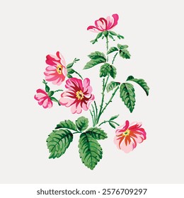 Aesthetic vintage flower painting. Pink floral plant vector element. Vintage pink botanical flower art drawing illustration, old painting art print of pink flower drawing.