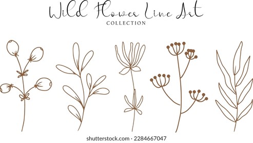 Aesthetic Wild Flower Line Art Collection