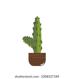 Cactus arbóreos estéticos compatibles con olla para cualquier diseño 