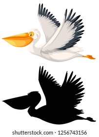 Aet of pelican character illustration