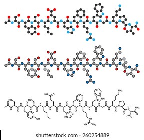 Afamelanotide (melanotan-1) photoprotective drug molecule. Stylized 2D renderings and conventional skeletal formula.  svg