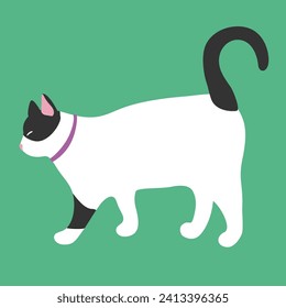 Affectionate white cat. Black and white pet on a bright background. Black tail. Minimalistic illustration. Vector