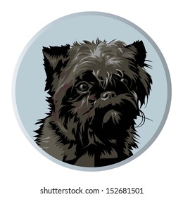 Affenpinscher