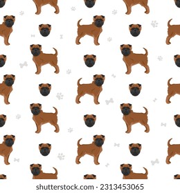 Affenpinscher all colours seamless pattern. Different coat colors set. Vector illustration