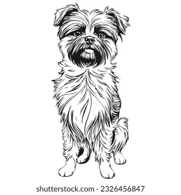 Affenpinscher dog black drawing vector, isolated face painting sketch line illustration sketch drawing