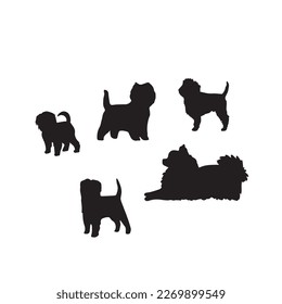 Affenpinscher dog (Canis Lupus) cute animal in cartoon style isolated on white background. Vector graphics, silhouette