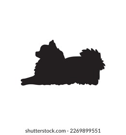 Affenpinscher dog (Canis Lupus) cute animal in cartoon style isolated on white background. Vector graphics, silhouette