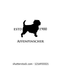 Affenpinscher dog  logo icon designs vector illustration