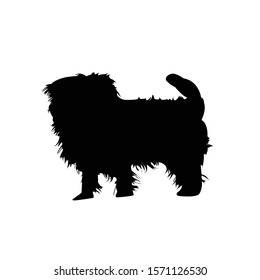 Affenpinscher dog silhouette vector illustration