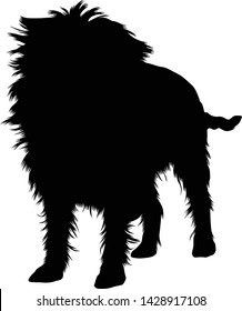 Affenpinscher Dog Silhouette Vector Style