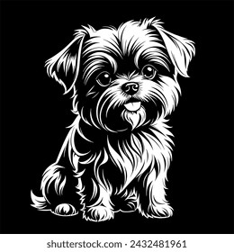 Affenpinscher Dog vector - isolated outlined vector illustration - line drawing