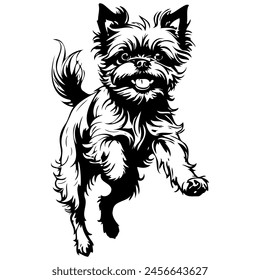 Affenpinscher jumps black hand drawn animal illustration, transparent background