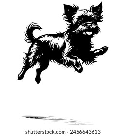 Affenpinscher jumps realistic,  ink sketch of animal outline portrait, transparent background