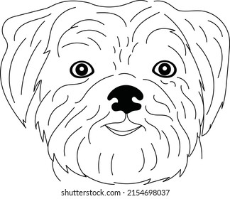 Affenpinscher Outline Art,Affenpinscher Dog, Pet Portrait,Line Art, Dog Tattoo, Line Drawing, Dog Art, Minimalist,Dog portraits,Painter Dog, Paint Your Pet, Sketch Art