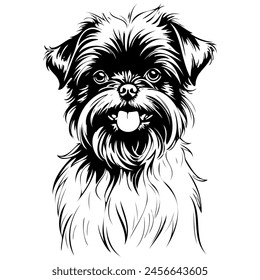 Affenpinscher portrait sketches hand drawn animal illustration, transparent background