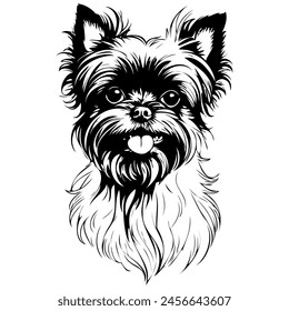 Affenpinscher portrait vintage hand drawn animal illustration, transparent background