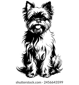 Affenpinscher sitting hand drawn animal illustration, transparent background