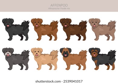 Affenpoo Clipart. Affenpinscher Poodle mix. Diferentes cores de casaco definido.  Ilustração vetorial