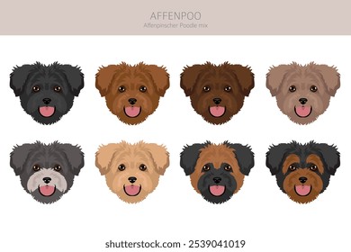 Affenpoo Clipart. Affenpinscher Poodle mix. Diferentes cores de casaco definido.  Ilustração vetorial