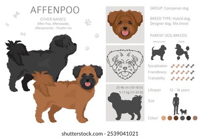 Affenpoo Clipart. Affenpinscher Poodle mix. Diferentes cores de casaco definido.  Ilustração vetorial