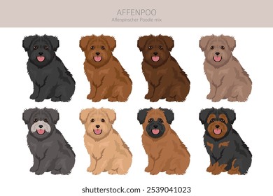 Affenpoo Clipart. Affenpinscher Poodle mix. Diferentes cores de casaco definido.  Ilustração vetorial