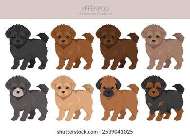 Affenpoo clipart. Affenpinscher Poodle mix. Different coat colors set.  Vector illustration